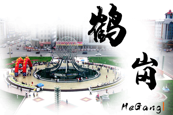 鶴崗汽車托運(yùn)公司