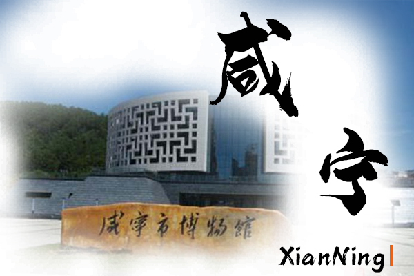 咸寧汽車托運(yùn)公司